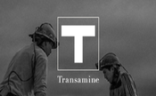 Transamine -Reference-Orchestre-Evenementiel-Shades-of-Blue (1)
